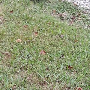 Meet your Posher, Warren